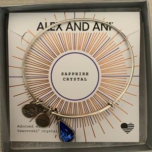 Alex and ani birthstone bracelet